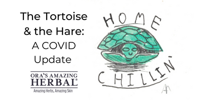 COVID-19 update or The Tortoise & the Hare