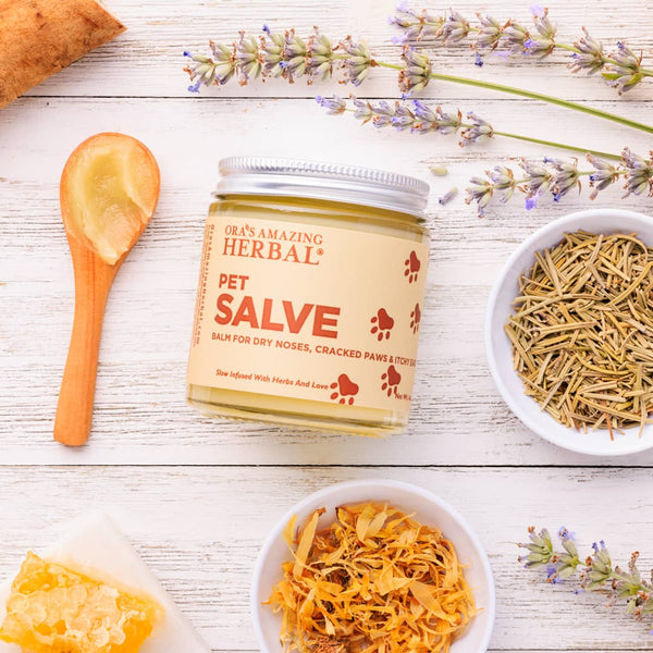 Pet Salve Lifestyle Indoor Texture 4oz Jar