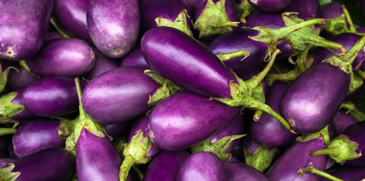 I really don't like that toothfeeling of biting into eggplant