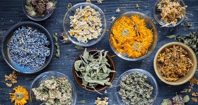 The Best Herbs For Eczema Care