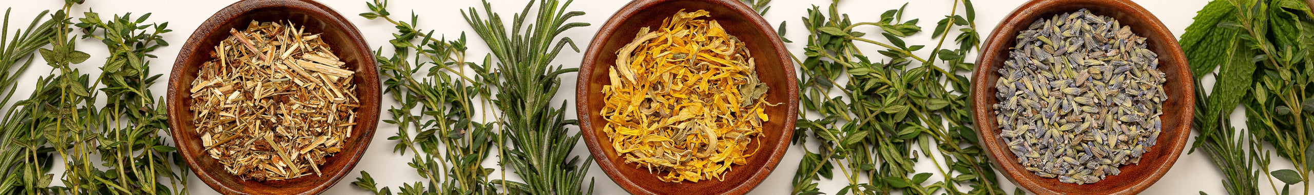 Search By Botanical - Dry Herb - Licorice, Glycyrrhiza glabra