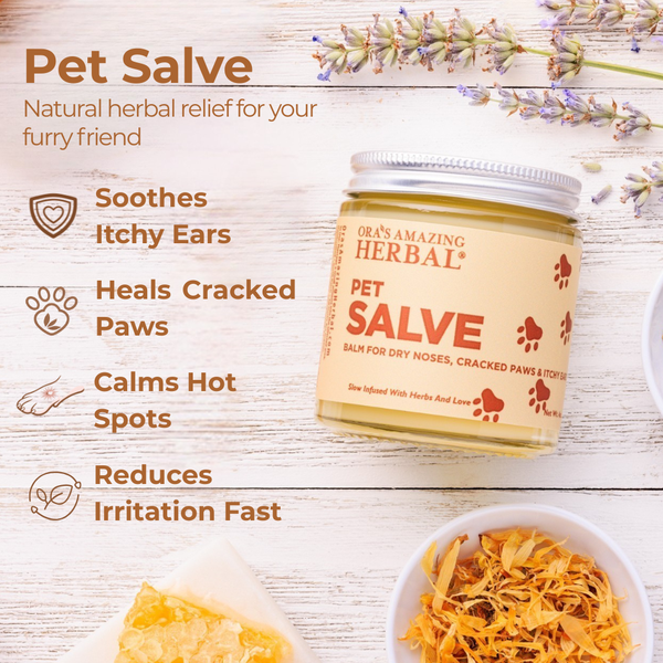 Jar of Pet Salve with Benefits On A Wooden Background  With Lifestyle Icons