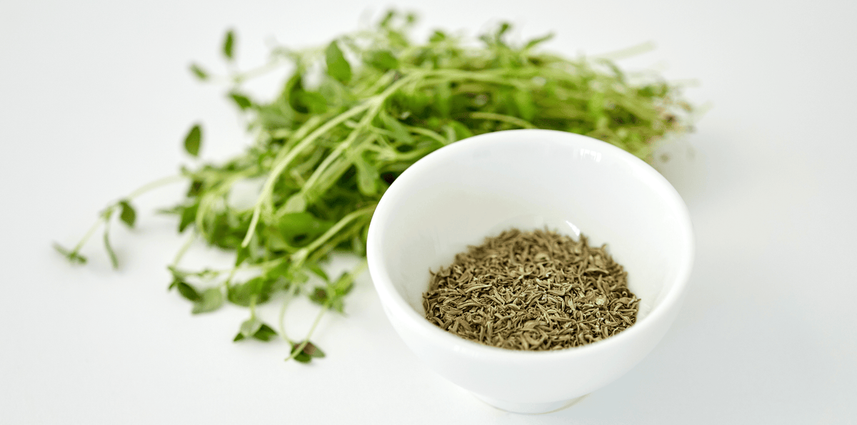 Thyme for Eczema and Sensitive Skin Dried Thyme in White Bowl with Bundle on White Table
